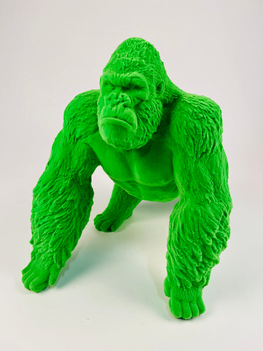 GORILLA VELLUTO