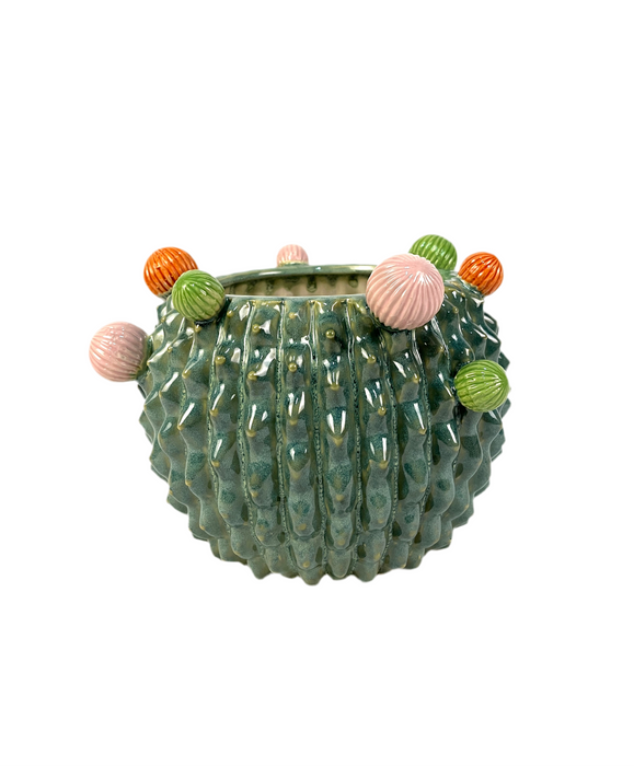 Vaso Cactus in Ceramica