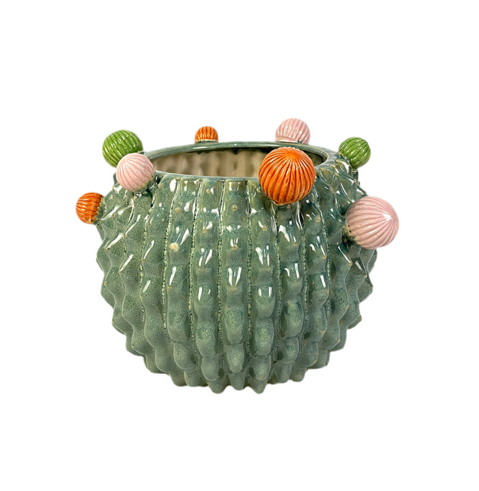 Vaso Cactus in Ceramica